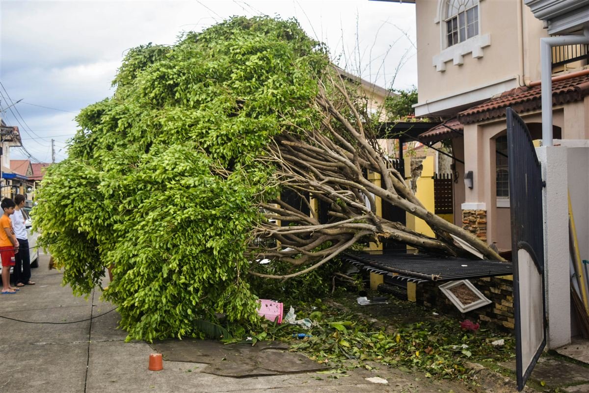 Emergency clean up